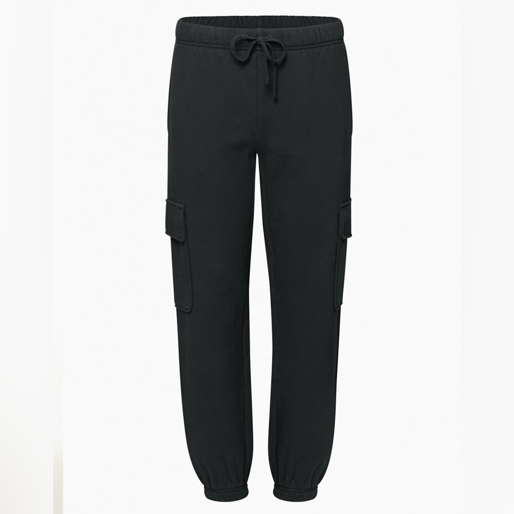 BABATON Aritzia Cargo pants. Worn once. Never washed or tumble dried.